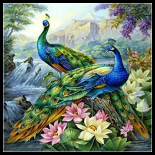 Beautiful Peacocks 1 - Counted Cross Stitch Patterns Embroidery Crafts Needlework DIY Chart DMC Color