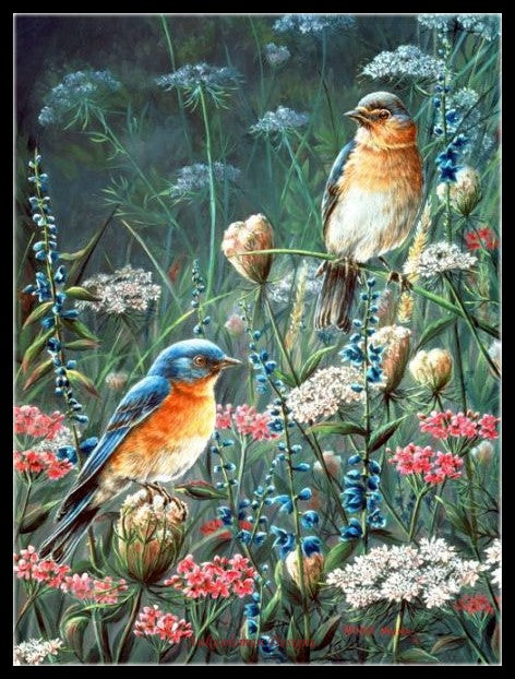 Birds and Flowers 11 - Counted Cross Stitch Patterns Embroidery Crafts Needlework DIY Chart DMC Color