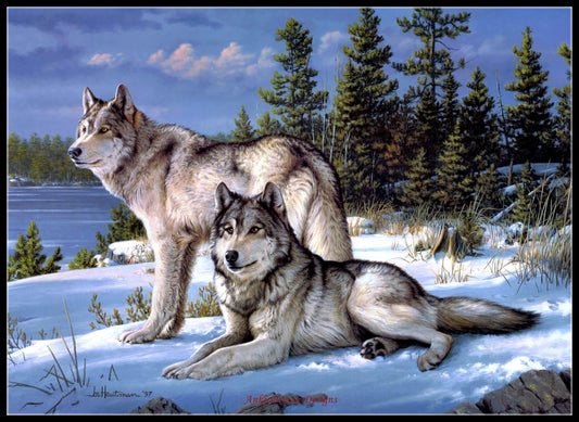 Wolves Collection 20 - Counted Cross Stitch Patterns Embroidery Crafts Needlework DIY Chart DMC Color