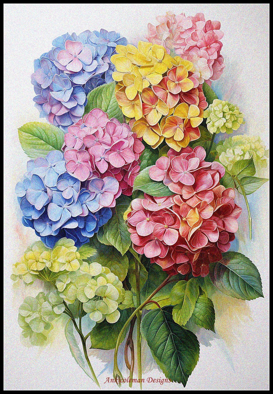 Multi Colored Hydrangea - Counted Cross Stitch Patterns Embroidery Crafts Needlework DIY Chart DMC Color