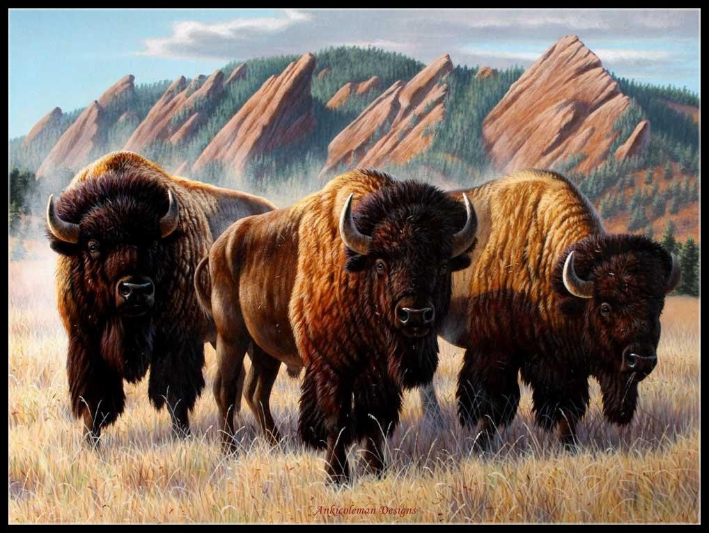 Bison under the Flatirons - Counted Cross Stitch Patterns Embroidery Crafts Needlework DIY Chart DMC Color