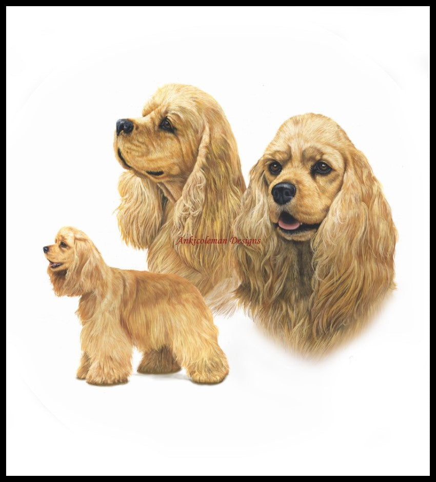 American Cocker Spaniel 2 - Counted Cross Stitch Patterns Embroidery Crafts Needlework DIY Chart DMC Color