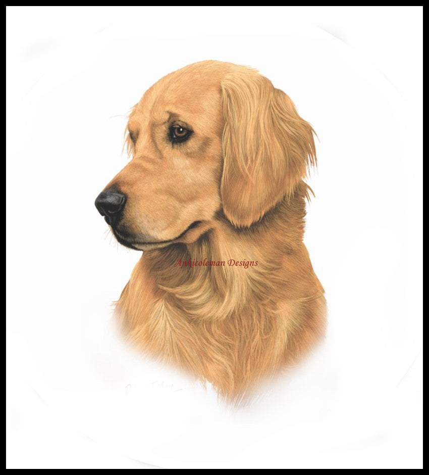 Golden Retriever - Counted Cross Stitch Patterns Embroidery Crafts Needlework DIY Chart DMC Color