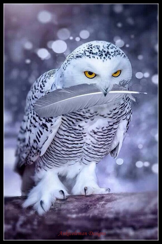 Cool White Owl - Counted Cross Stitch Patterns Embroidery Crafts Needlework DIY Chart DMC Color