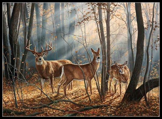 Deer Elk Moose 19 - Counted Cross Stitch Patterns Embroidery Crafts Needlework DIY Chart DMC Color