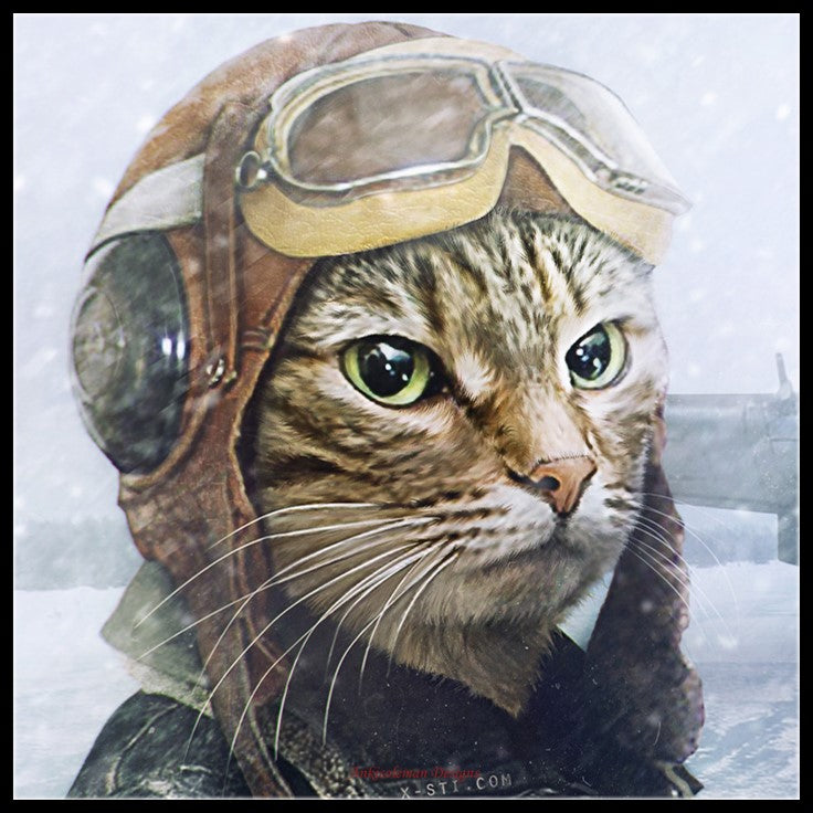 Cat-Pilot - Counted Cross Stitch Patterns Embroidery Crafts Needlework DIY Chart DMC Color