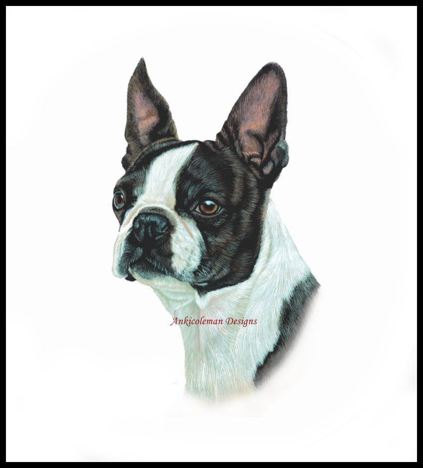 Boston Terrier - Counted Cross Stitch Patterns Embroidery Crafts Needlework DIY Chart DMC Color