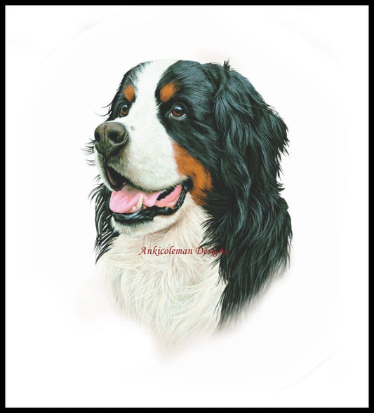 Bernese Mountain Dog - Counted Cross Stitch Patterns Embroidery Crafts Needlework DIY Chart DMC Color