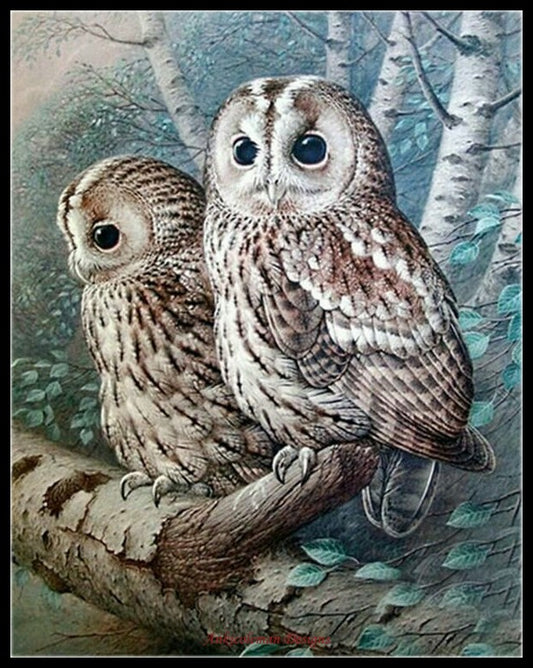 The Tawny Owl - Counted Cross Stitch Patterns Embroidery Crafts Needlework DIY Chart DMC Color