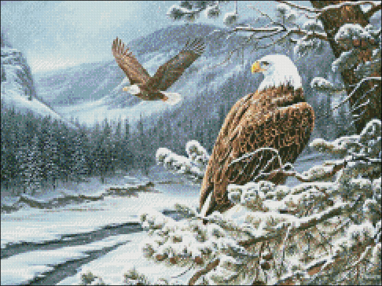 Winter Eagles - Counted Cross Stitch Patterns Embroidery Crafts Needlework DIY Chart DMC Color