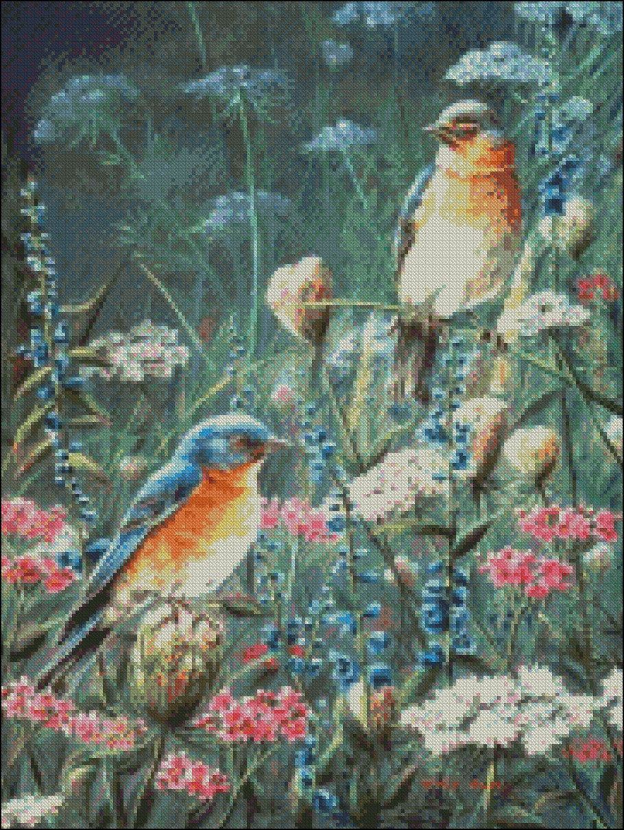 Birds and Flowers 11 - Counted Cross Stitch Patterns Embroidery Crafts Needlework DIY Chart DMC Color