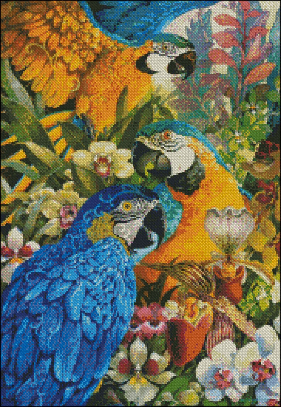 Amazon Counted Cross Stitch Patterns Amazon Counted Cross Stitch Patterns