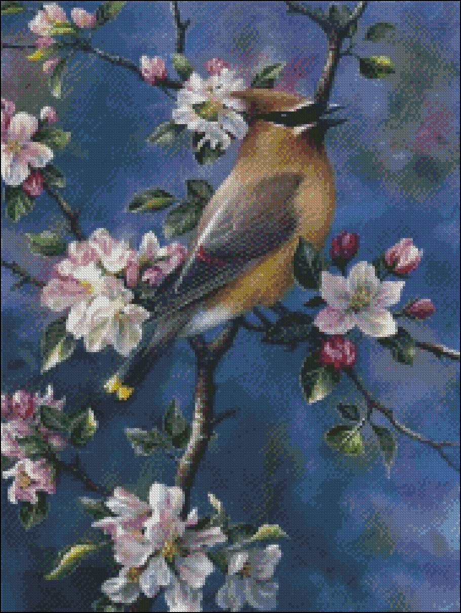 Beautiful Bird 2 - Counted Cross Stitch Patterns Embroidery Crafts Needlework DIY Chart DMC Color