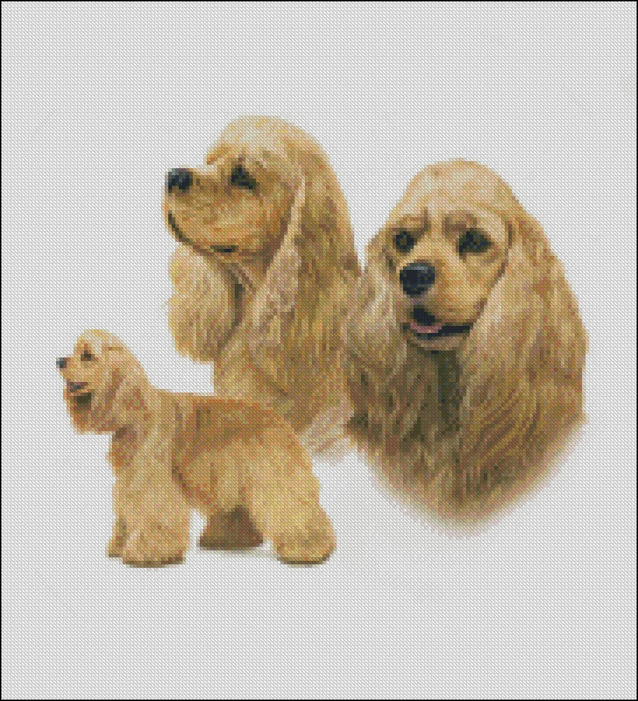 American Cocker Spaniel 2 - Counted Cross Stitch Patterns Embroidery Crafts Needlework DIY Chart DMC Color