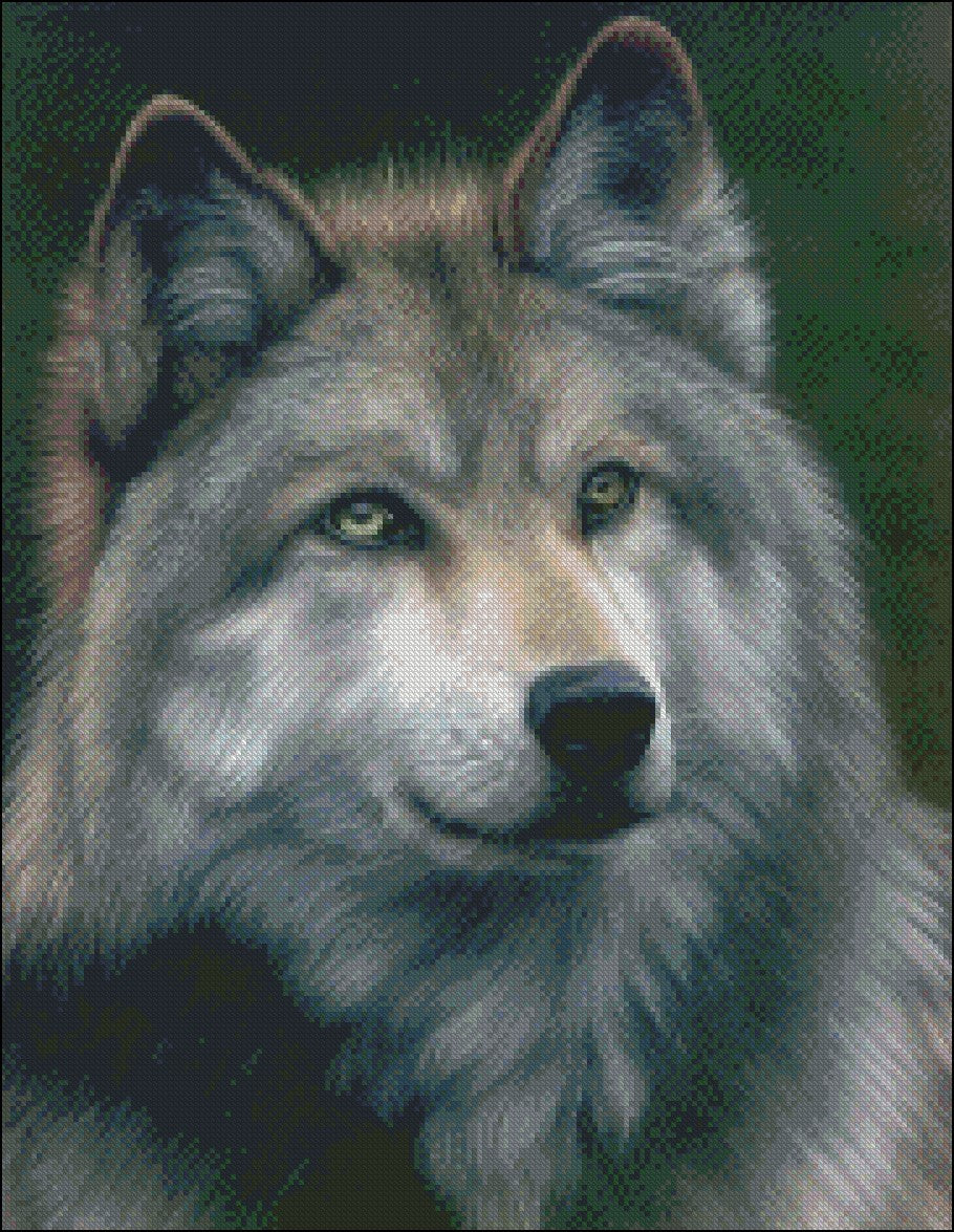 Grey Wolf - Counted Cross Stitch Patterns Embroidery Crafts Needlework DIY Chart DMC Color