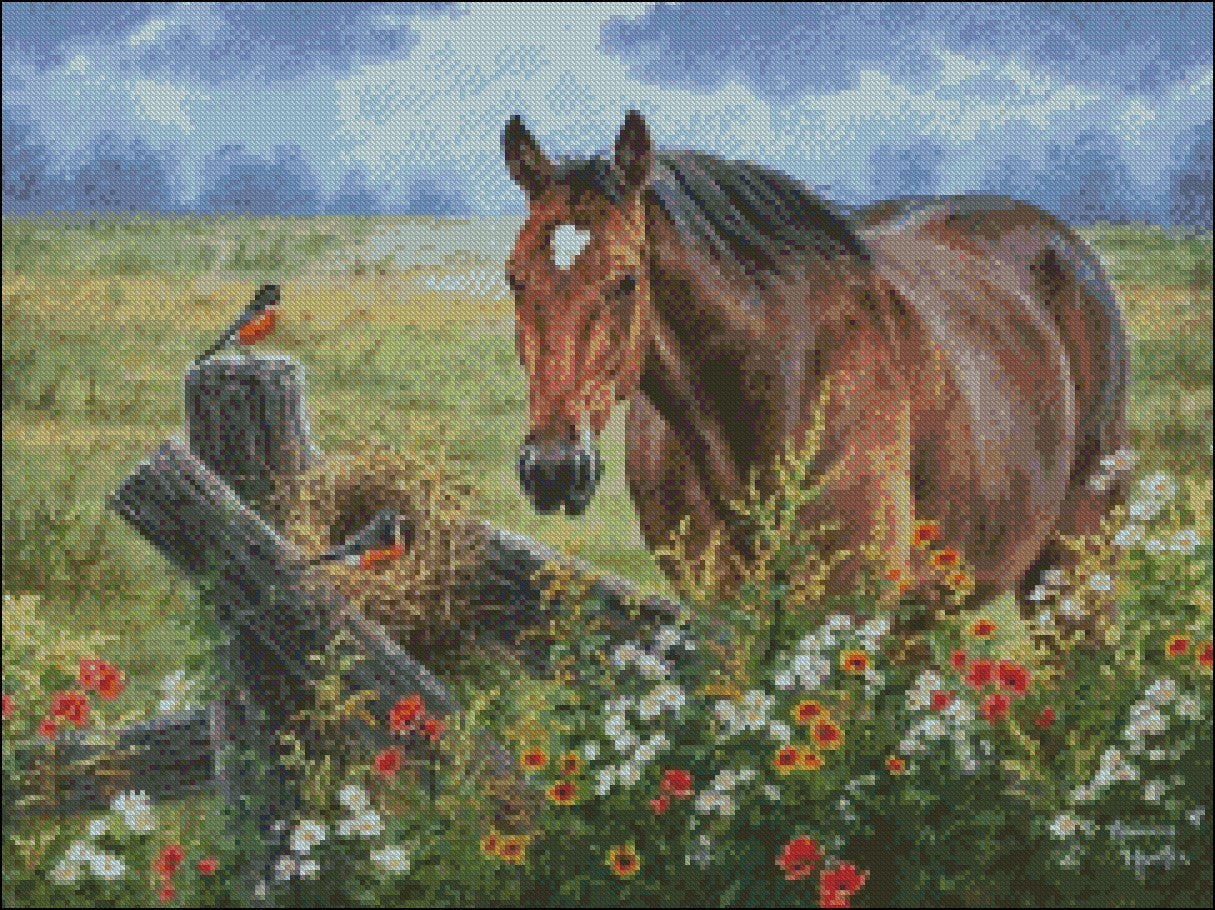 Horse Birds - Counted Cross Stitch Patterns Embroidery Crafts Needlework DIY Chart DMC Color