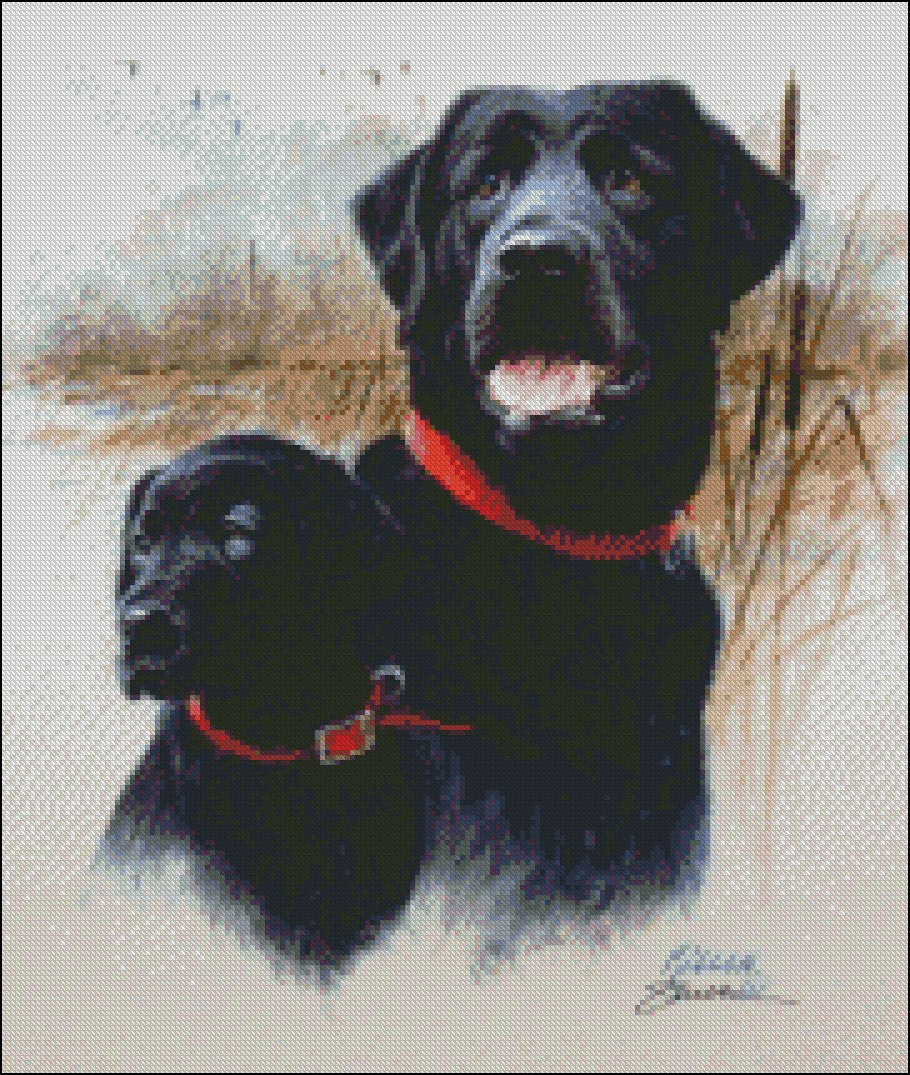 Dogs and Puppies 4 - Counted Cross Stitch Patterns Embroidery Crafts Needlework DIY Chart DMC Color