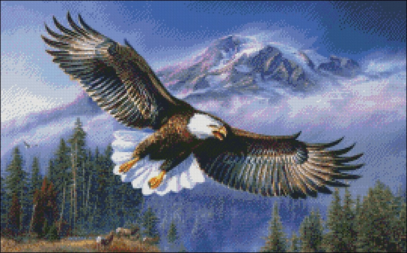 Eagle in Flight - Counted Cross Stitch Patterns Embroidery Crafts Needlework DIY Chart DMC Color