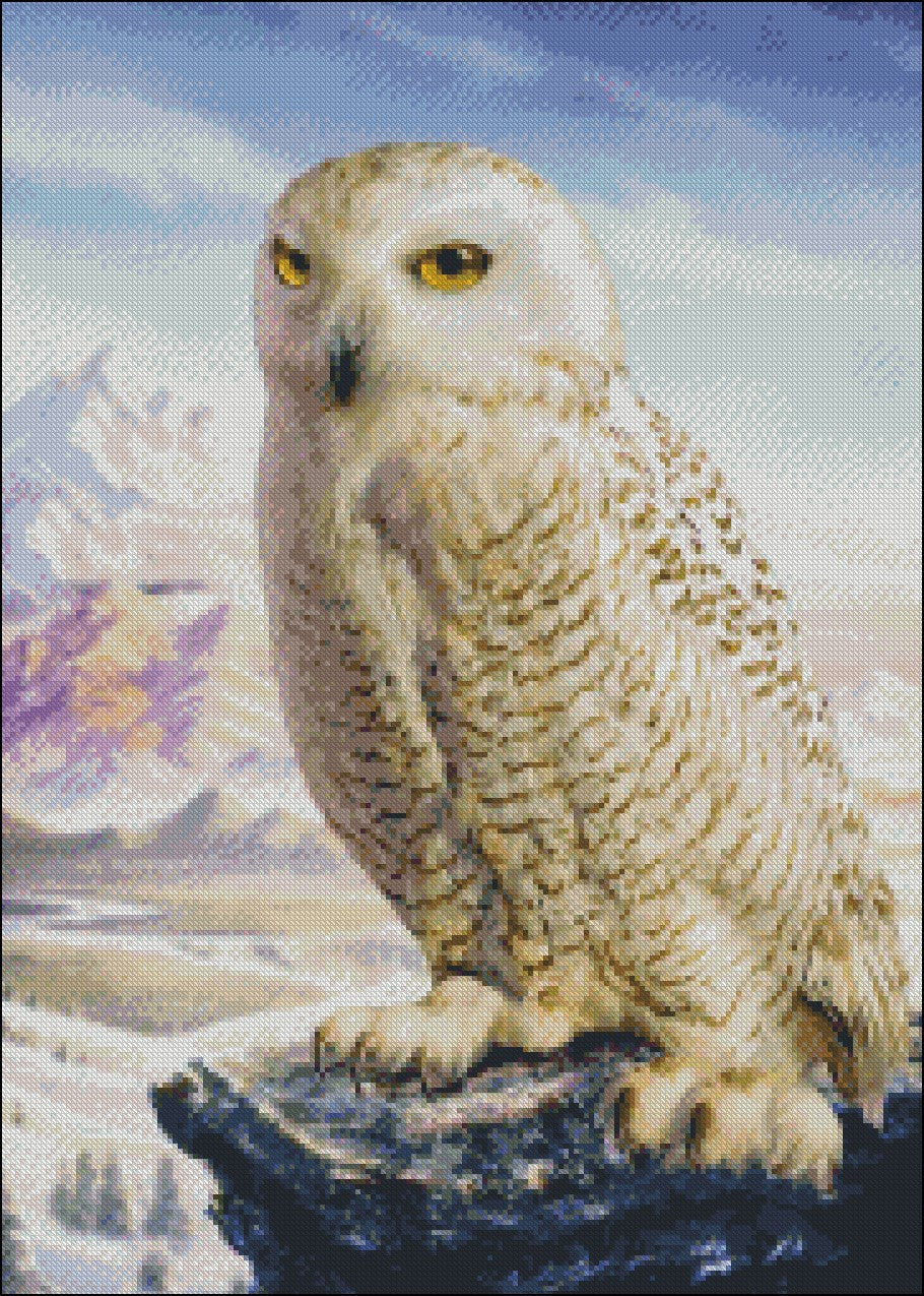 Barn Owl - Counted Cross Stitch Patterns Embroidery Crafts Needlework DIY Chart DMC Color