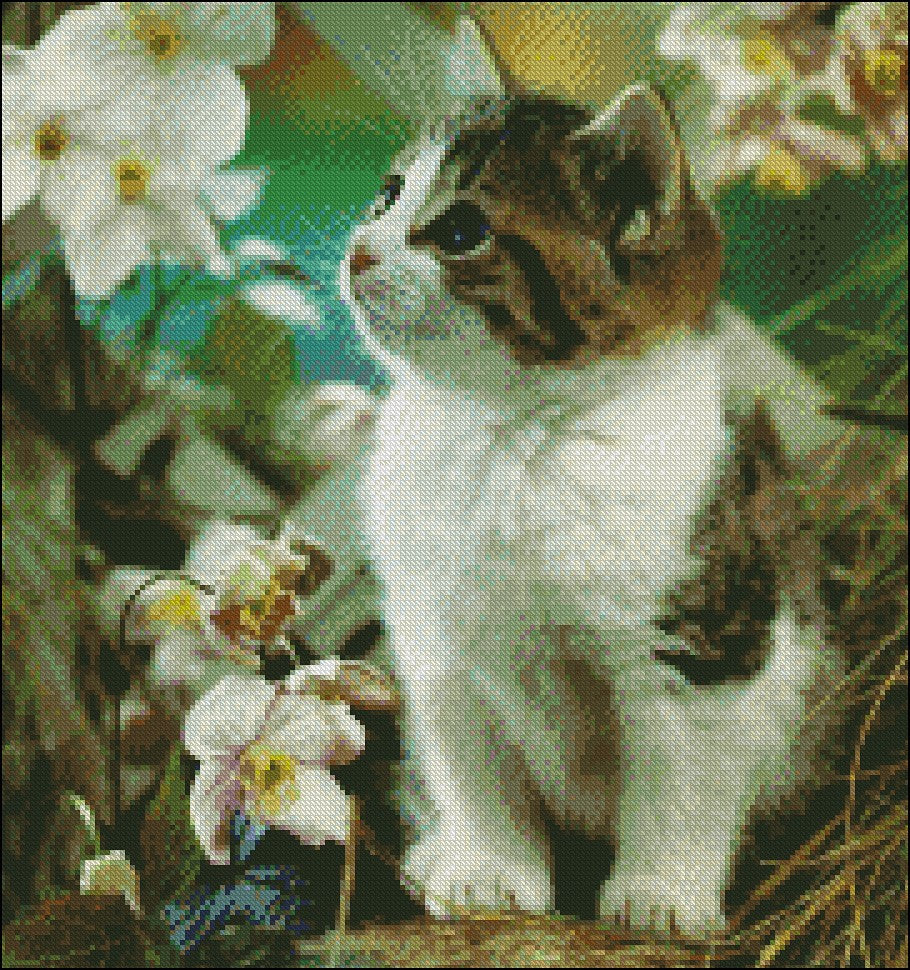 Curious Cute Kitten - Counted Cross Stitch Patterns Embroidery Crafts Needlework DIY Chart DMC Color