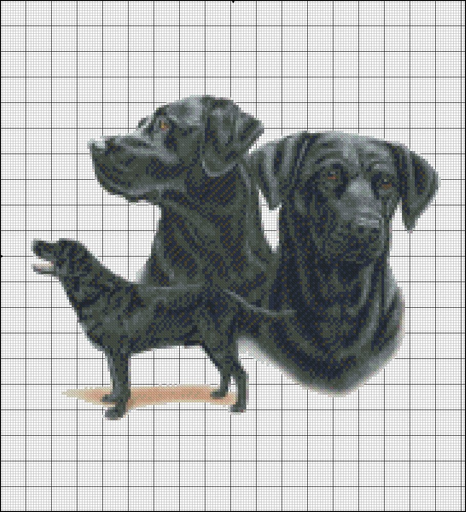 Black Labrador Retriever - Counted Cross Stitch Patterns Embroidery Crafts Needlework DIY Chart DMC Color