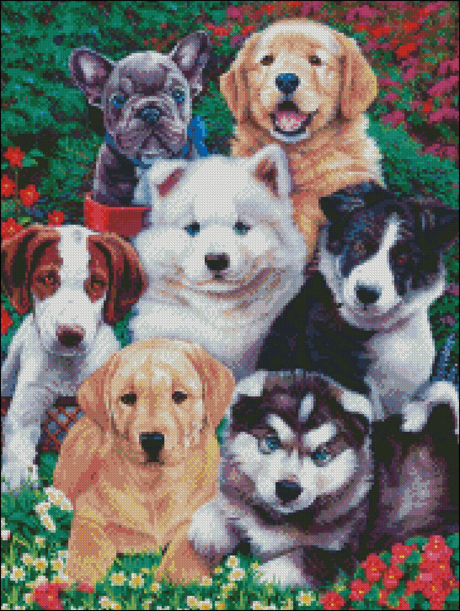 Fluffy Fuzzballs - Counted Cross Stitch Patterns Embroidery Crafts Needlework DIY Chart DMC Color