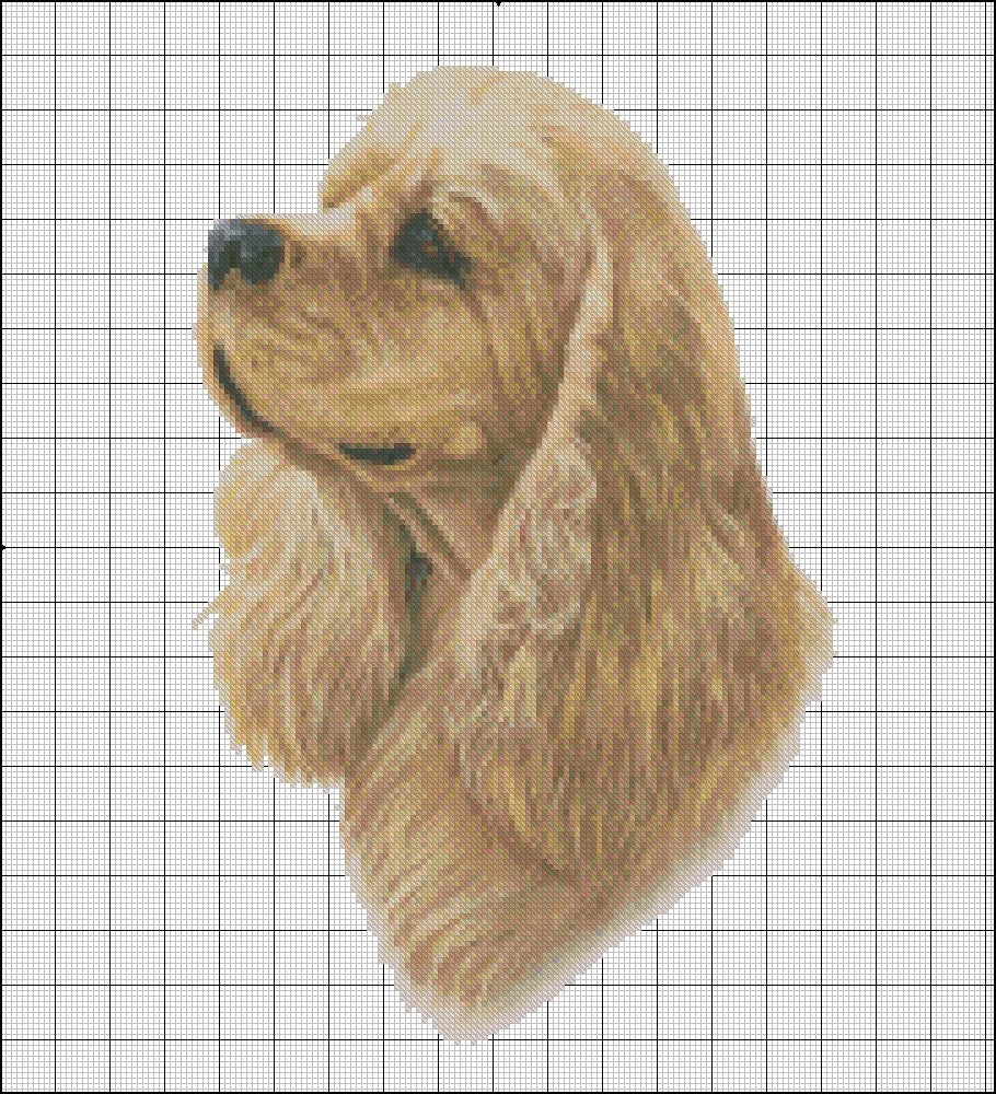 American Cocker Spaniel - Counted Cross Stitch Patterns Embroidery Crafts Needlework DIY Chart DMC Color