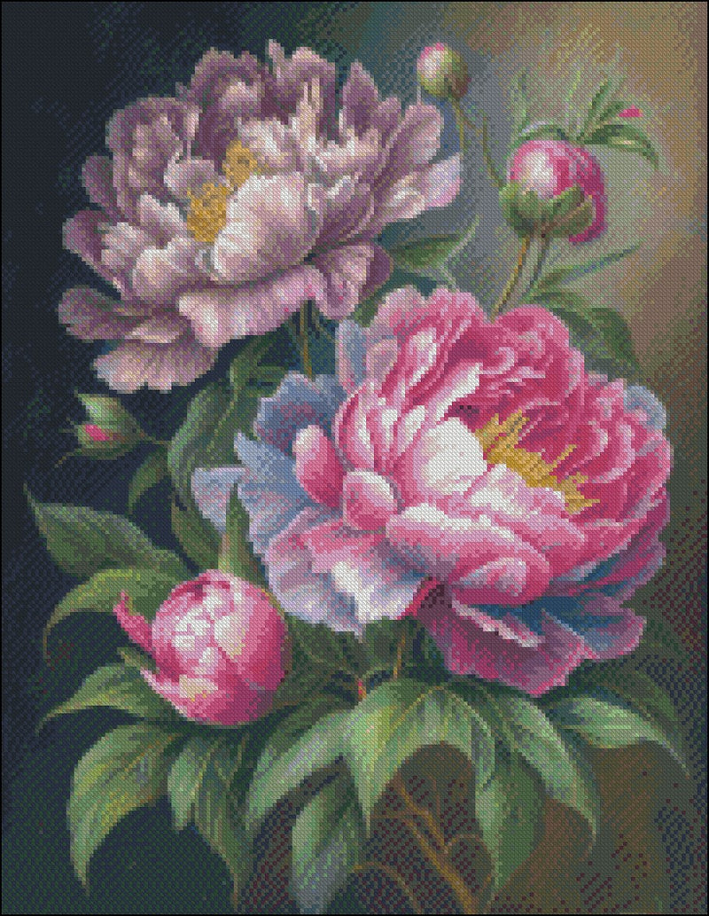 Blooming Peonies 3 - Counted Cross Stitch Patterns Embroidery Crafts Needlework DIY Chart DMC Color
