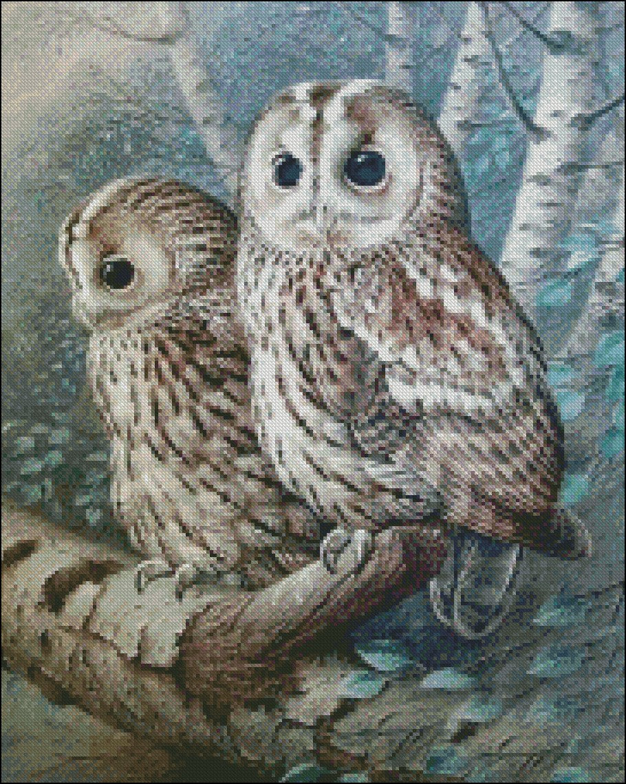 The Tawny Owl - Counted Cross Stitch Patterns Embroidery Crafts Needlework DIY Chart DMC Color