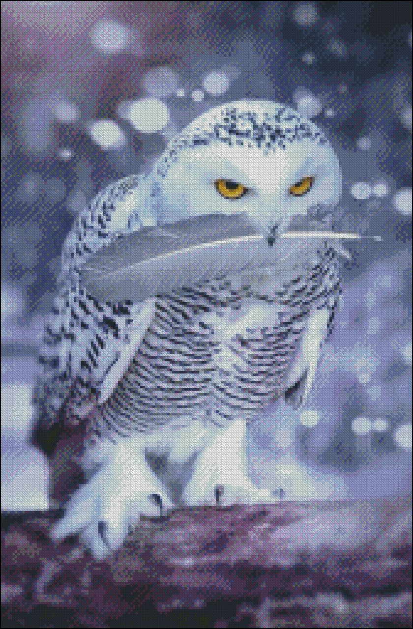 Cool White Owl - Counted Cross Stitch Patterns Embroidery Crafts Needlework DIY Chart DMC Color