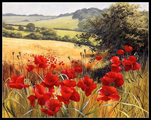 Poppies Field 13 - Counted Cross Stitch Patterns Embroidery Crafts Needlework DIY Chart DMC Color