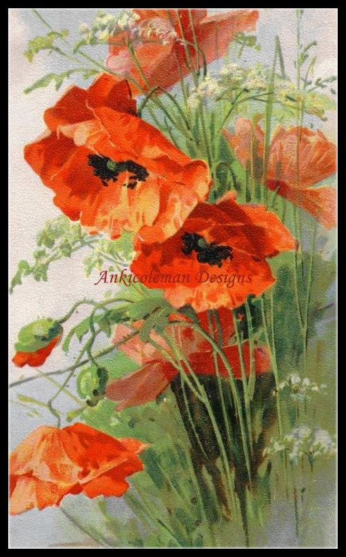 Poppies - Counted Cross Stitch Patterns Embroidery Crafts Needlework DIY Chart DMC Color