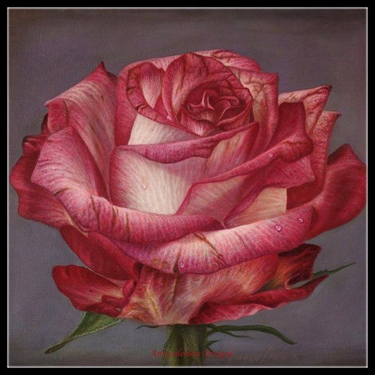 Delicate Hyper of Roses - Counted Cross Stitch Patterns Embroidery Crafts Needlework DIY Chart DMC Color