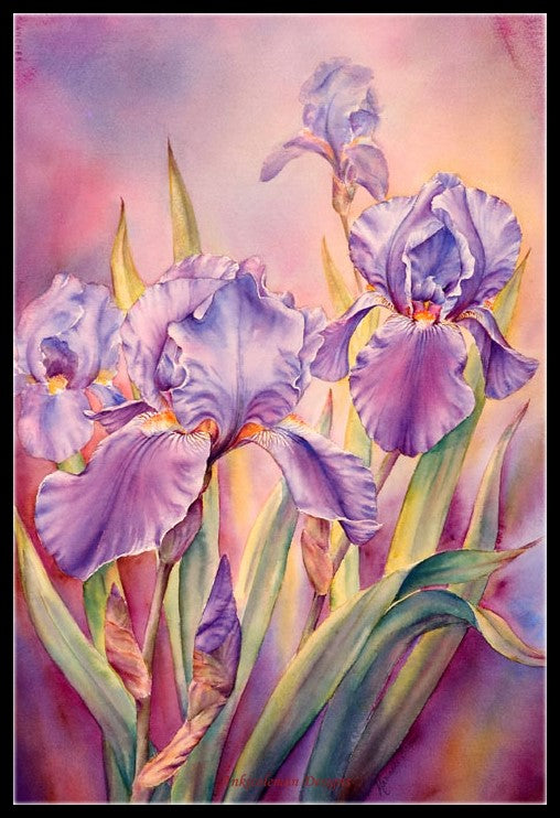 Irises at Dawn - Counted Cross Stitch Patterns Embroidery Crafts Needlework DIY Chart DMC Color