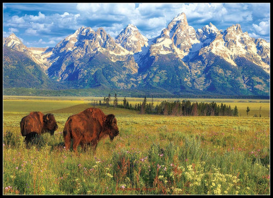 Grand Teton National Park - Counted Cross Stitch Patterns Embroidery Crafts Needlework DIY Chart DMC Color