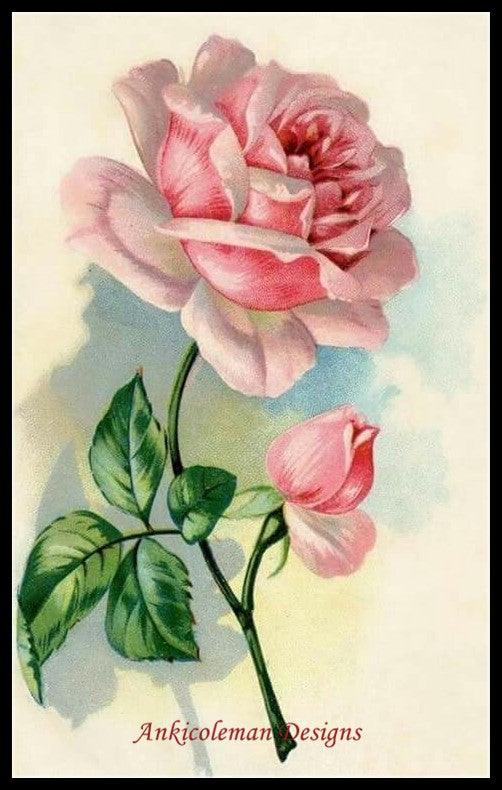 Rose Blossom - Counted Cross Stitch Patterns Embroidery Crafts Needlework DIY Chart DMC Color