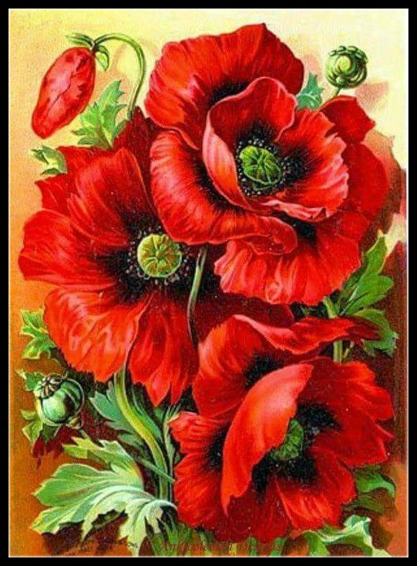 Oriental Red Poppy - Counted Cross Stitch Patterns Embroidery Crafts Needlework DIY Chart DMC Color