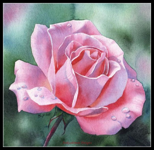 Watercolor Rose - Counted Cross Stitch Patterns Embroidery Crafts Needlework DIY Chart DMC Color