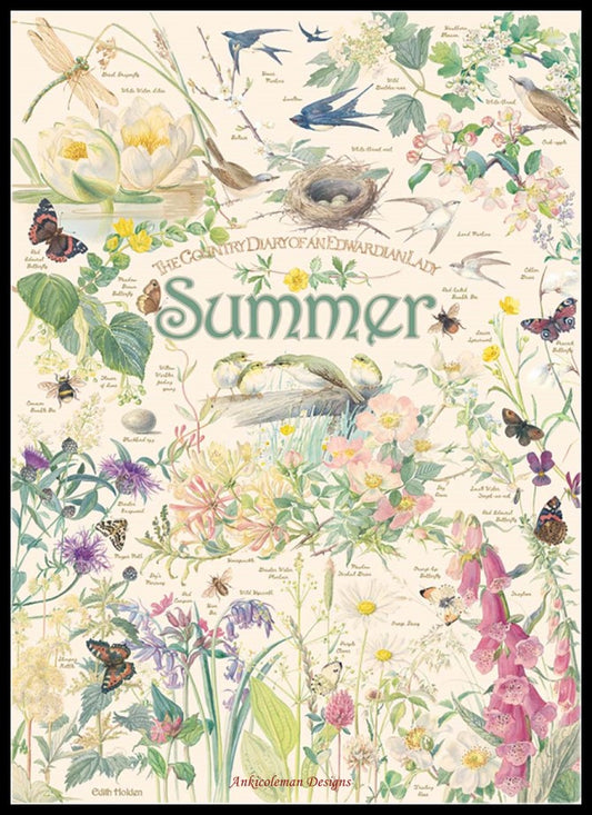 Country Diary Summer - Counted Cross Stitch Patterns Embroidery Crafts Needlework DIY Chart DMC Color