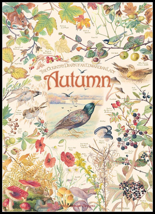 Country Diary Autumn - Counted Cross Stitch Patterns Embroidery Crafts Needlework DIY Chart DMC Color