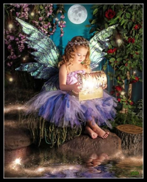 Enchanted Fairy 3 - Counted Cross Stitch Patterns Embroidery Crafts Needlework DIY Chart DMC Color