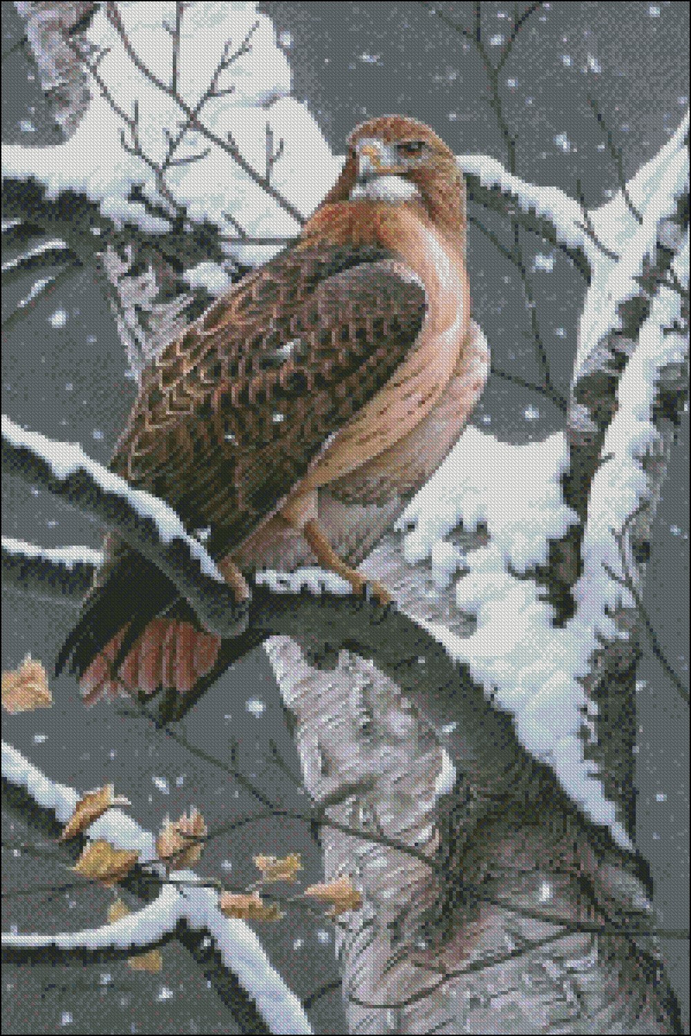 Lady Hawk - Counted Cross Stitch Patterns Embroidery Crafts Needlework DIY Chart DMC Color