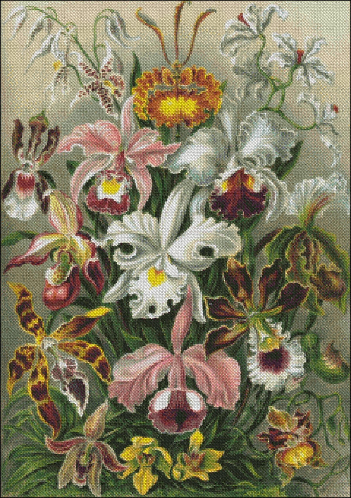 Haeckel Orchids - Counted Cross Stitch Patterns Embroidery Crafts Needlework DIY Chart DMC Color