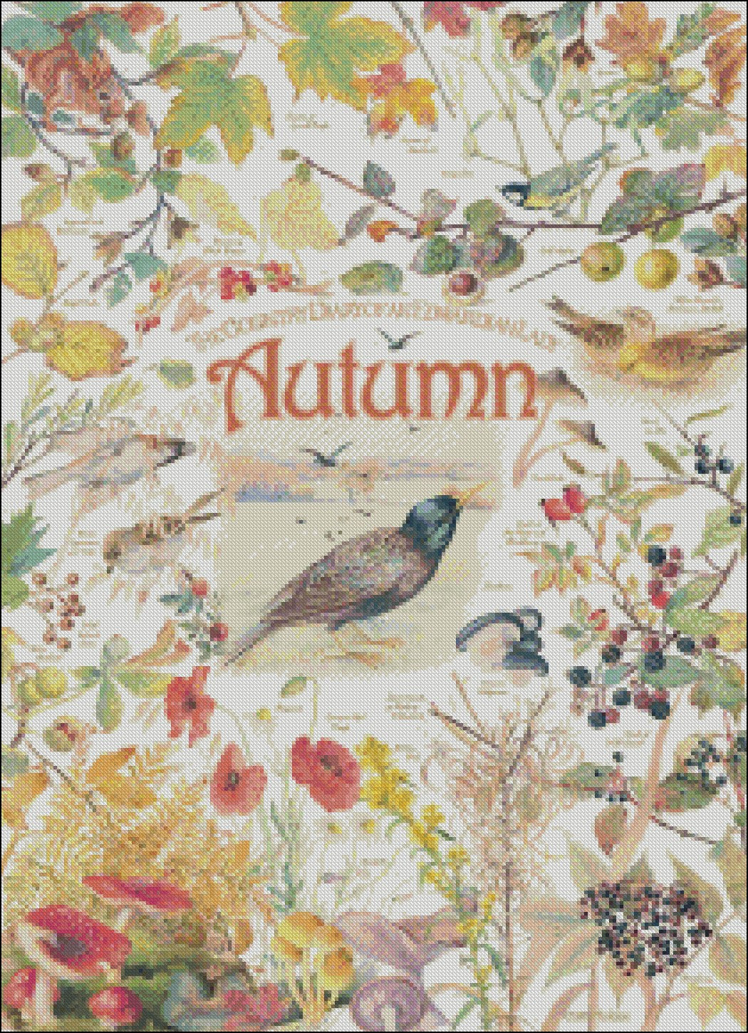 Country Diary Autumn - Counted Cross Stitch Patterns Embroidery Crafts Needlework DIY Chart DMC Color