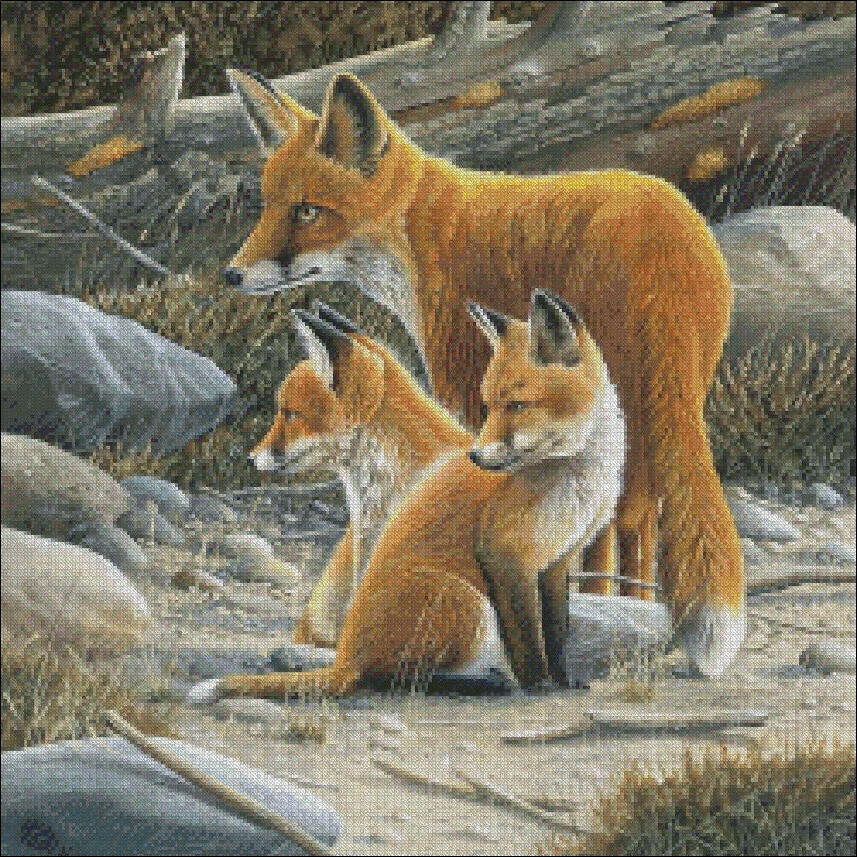 Fox Family - Counted Cross Stitch Patterns Embroidery Crafts Needlework DIY Chart DMC Color