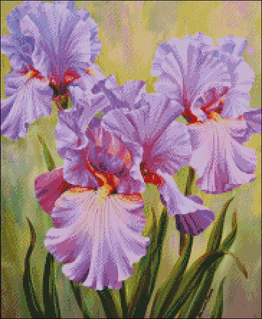 Pink Iris - Counted Cross Stitch Patterns Embroidery Crafts Needlework DIY Chart DMC Color