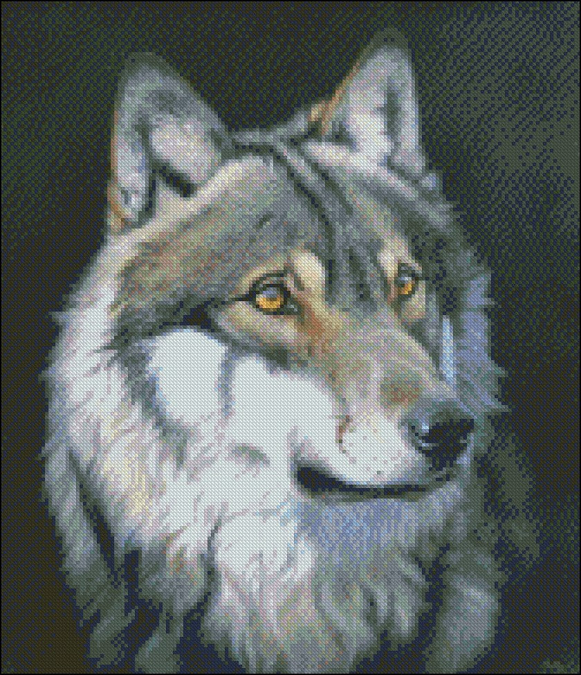 Wolf Portrait 2 - Counted Cross Stitch Patterns Embroidery Crafts Needlework DIY Chart DMC Color