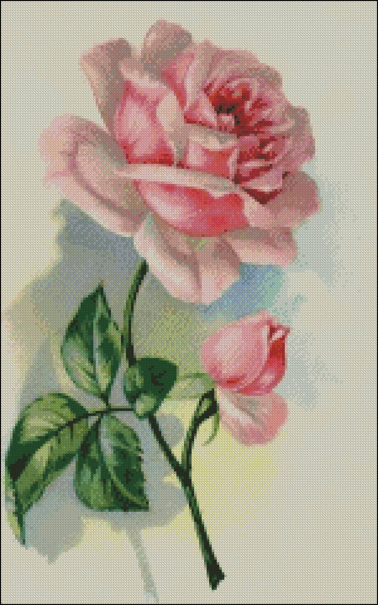 Rose Blossom - Counted Cross Stitch Patterns Embroidery Crafts Needlework DIY Chart DMC Color