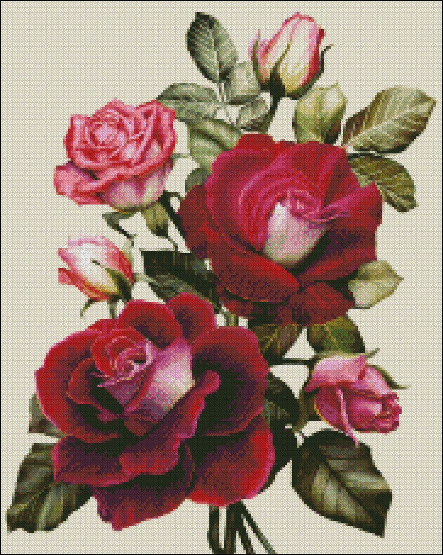 Exquisite Rose - Counted Cross Stitch Patterns Embroidery Crafts Needlework DIY Chart DMC Color