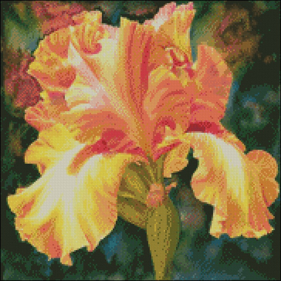 Iris of Gold - Counted Cross Stitch Patterns Embroidery Crafts Needlework DIY Chart DMC Color